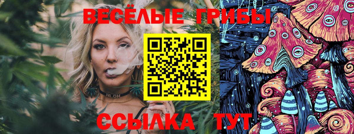Псилоцибиновые грибы Magic Shrooms  Галлюциногенные грибы GOLDEN TEACHER  Магадан  Вход с VPN 